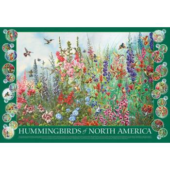 Cobble Hill - Puzzle Hummingbirds of North America - 2 000 piese