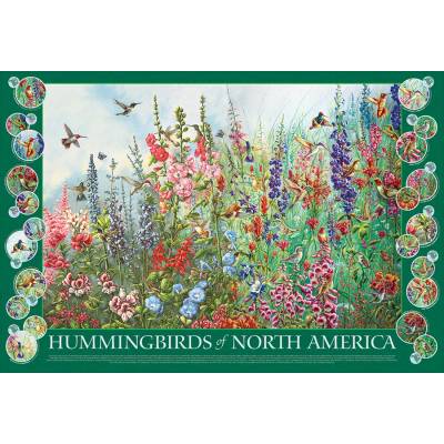Cobble Hill - Puzzle Hummingbirds of North America - 2 000 piese
