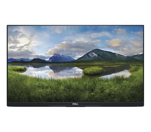 Dell P2419H