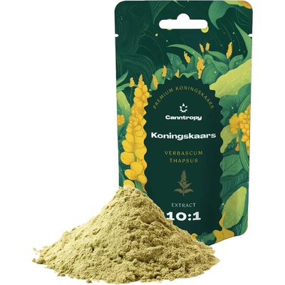 Canntropy Divozel malokvetý Verbascum thapsus extrakt 10:1 100 g