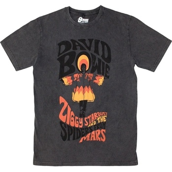 David Bowie Риза Ziggy Stardust Unisex Charcoal Grey M (BOWSTNW63MC02)
