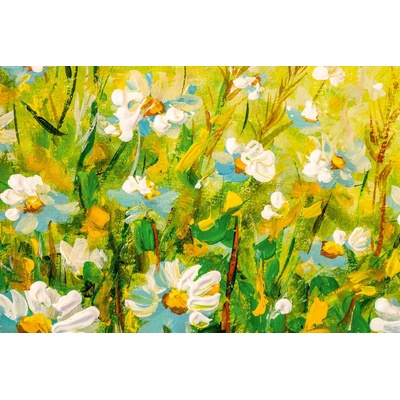 DIMEX ART Флизелинов фототапет картина - поле с маргаритки 375 x 250 см