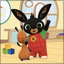 Aptex DETSKÝ FROTÉ UTERÁK BING 30 x 30 CM VZOROVANÝ