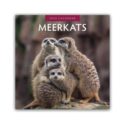 Browntrout Verlags GmbH Meerkats - Erdmännchen 2026 - 16-Monatskalender | Red Robin