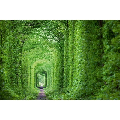 Dimex MS-5-1897 Vliesová fototapeta Zelený tunel rozměry 375 x 250 cm