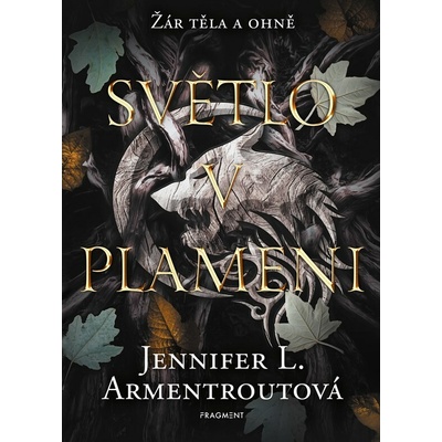 Světlo v plameni