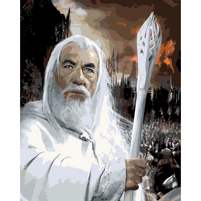 ZUTY Malování podle čísel GANDALF PORTRÉT PÁN PRSTENŮ Rozměr 40 x 50 cm Rámování vypnuté plátno na rám