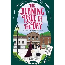 Burning Issue of the Day Kinsey T. E.Paperback