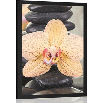 Plakát žlutá orchidej a Zen kameny - 30x45 silver