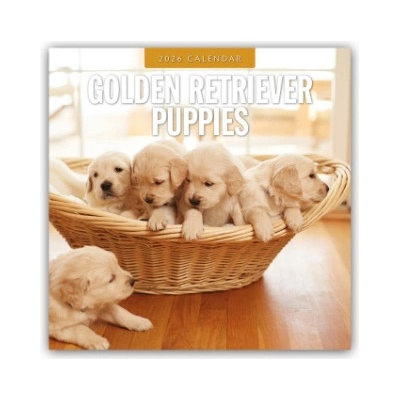 Browntrout Verlags GmbH Golden Retriever Puppies - Golden Retriever Welpen 2026 - 16-Monatskalender | Red Robin Publishing Ltd