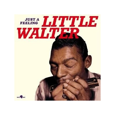 Walter Little Just a feeling 1 LP
