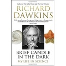 Brief Candle in the Dark