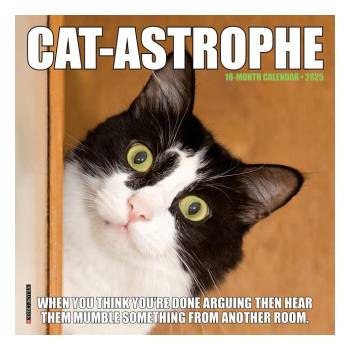 Willow Creek Press Calendars Cat-Astrophe 2026 7 X 7 Mini Wall Calendar | Willow Creek Press