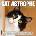 Willow Creek Press Calendars Cat-Astrophe 2026 7 X 7 Mini Wall Calendar | Willow Creek Press