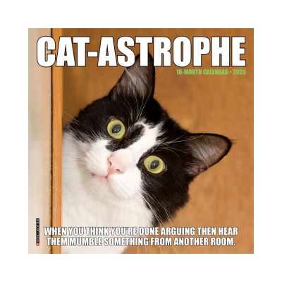 Willow Creek Press Calendars Cat-Astrophe 2026 7 X 7 Mini Wall Calendar | Willow Creek Press