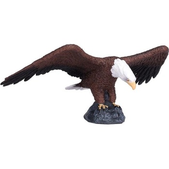 Mojo Моят белоглав орел