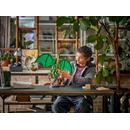 Image 1 of LEGO® NINJAGO® - The Guardian Dragon (71847)