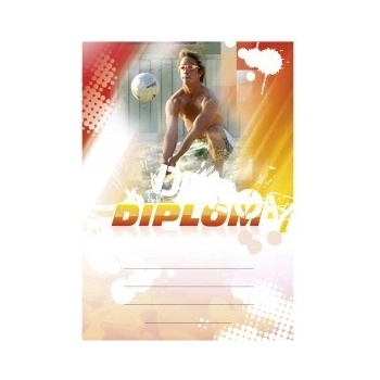 Diplom 6633