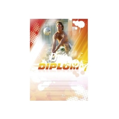Diplom 6633