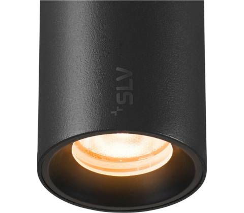 SLV 1006654