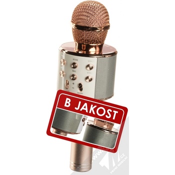 Respelen Karaoke bluetooth WS 858 Rose gold