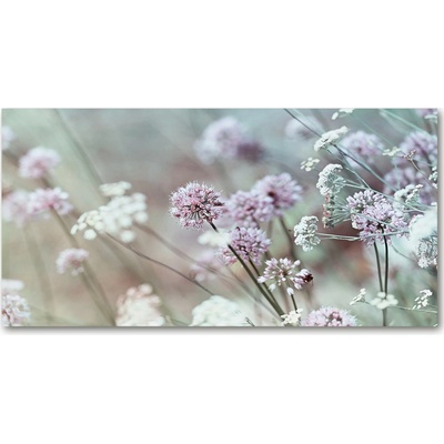 Moderný foto obraz na stenu divoké kvety 100x50 cm