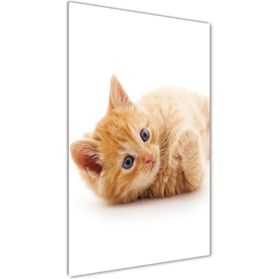 Vertikálny foto obraz sklenený Malá červená mačka 50x100 cm