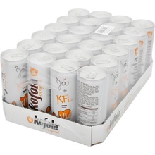 Kofola Originál plech 24 x 250 ml