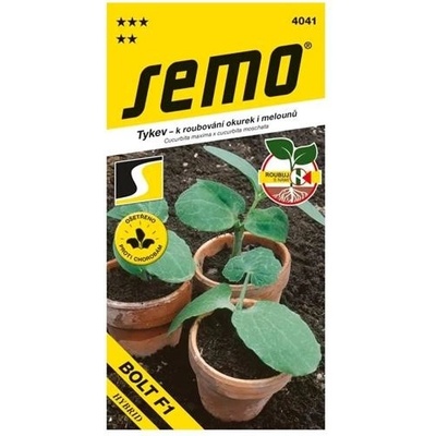Semo Tykev k roubování okurek Bolt F1 15 semen
