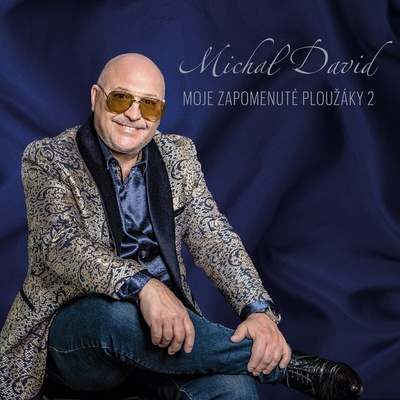 DAVID, MICHAL - MOJE ZAPOMENUTE PLOUZAKY 2 CD