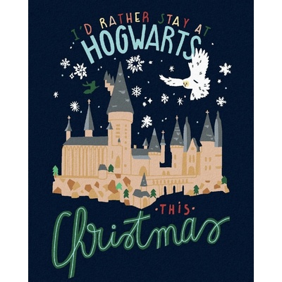 Zuty Malování Podle Čísel Vánoce V Bradavicích Harry Potter 40 x 50 Cm Plátno 8596530239321