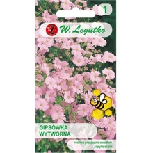 Elegantná ružová gypsophila