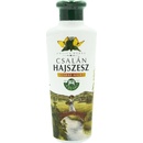Herbaria Banfi Vlasový aplikátor Žihľava 250 ml