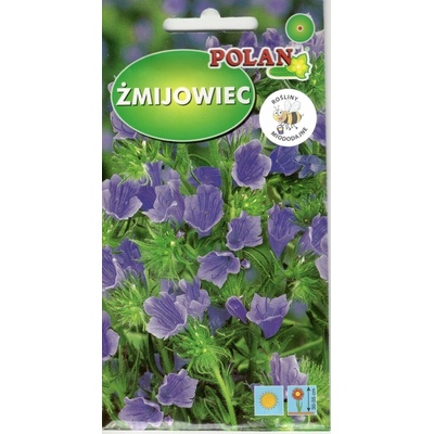 ŽMIJOWIEC skorocelový Echium MIX semená kvetov 1 g