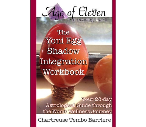 The Yoni Egg Shadow Integration Workbook
