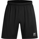 Under Armour CHALLENGER
