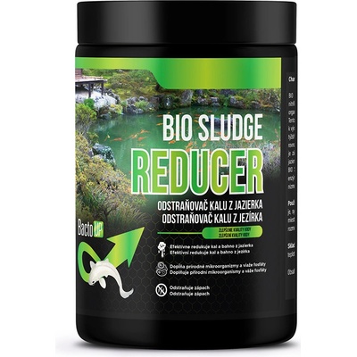 BactoUP BIO Sludge reducer 1 kg – Zboží Mobilmania