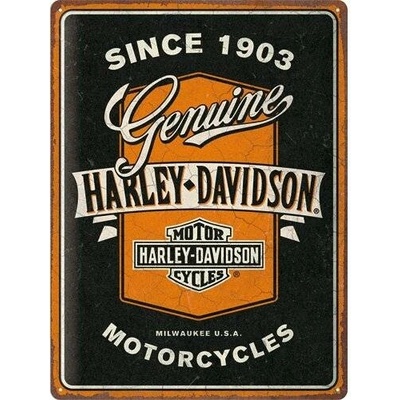 Postershop Plechová cedule: Harley-Davidson - Genuine Motorcycles Ribbon - 40x30 cm