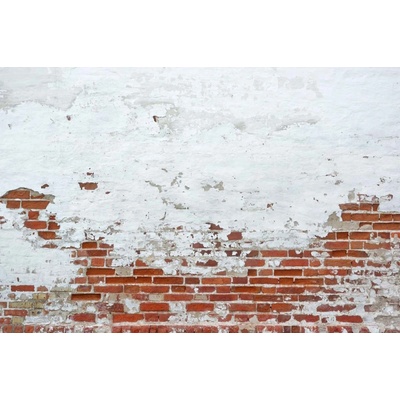 Dimex MS-5-2694 Vliesová fototapeta Omítka na cihlové zdi rozměry 375 x 250 cm