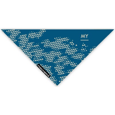 FISCHER Шал triangle
