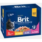 Brit Premium Family Variety 12x100 g