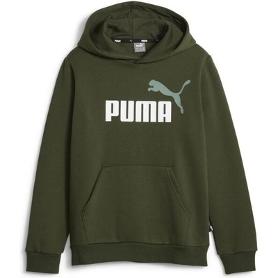 Puma Essentials + 2 Col Hoodie zelená