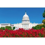 DIMEX ART Флизелинов фототапет капитолий с цветя 375 x 250 см