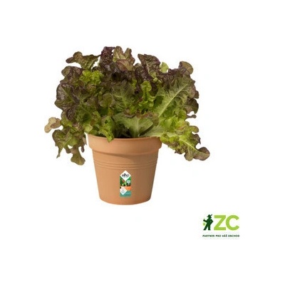 Elho Green Basics Květináč 11 cm mild terra