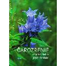 Čarozrenie