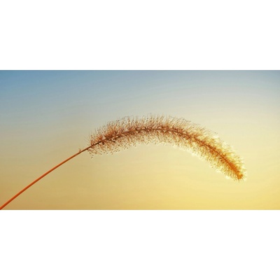 Bondecor Obraz, tlačené plátno Sun 50 x 100 cm