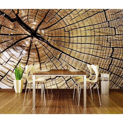 Dimex XL-158 vliesová fototapeta na zeď Wood rozměry 330 x 220 cm