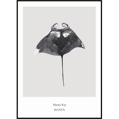 Jen tak z lásky Plakát Manta Ray Rozměr plakátu: 30 x 40 cm