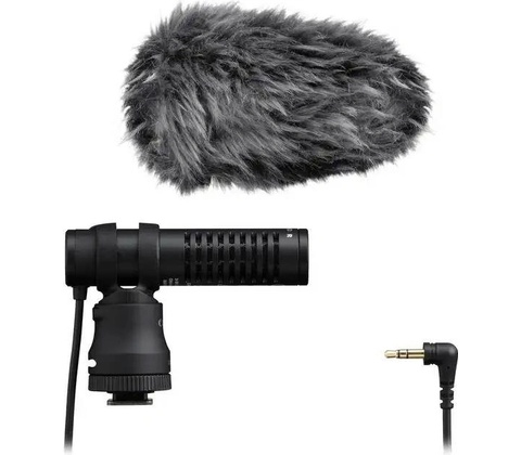 Canon DM-E100