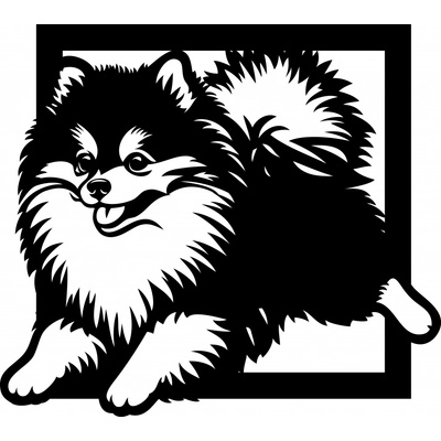 Vsepropejska Pomeranian 4 dřevěná dekorace na zeď Rozměr (cm): 38 x 34